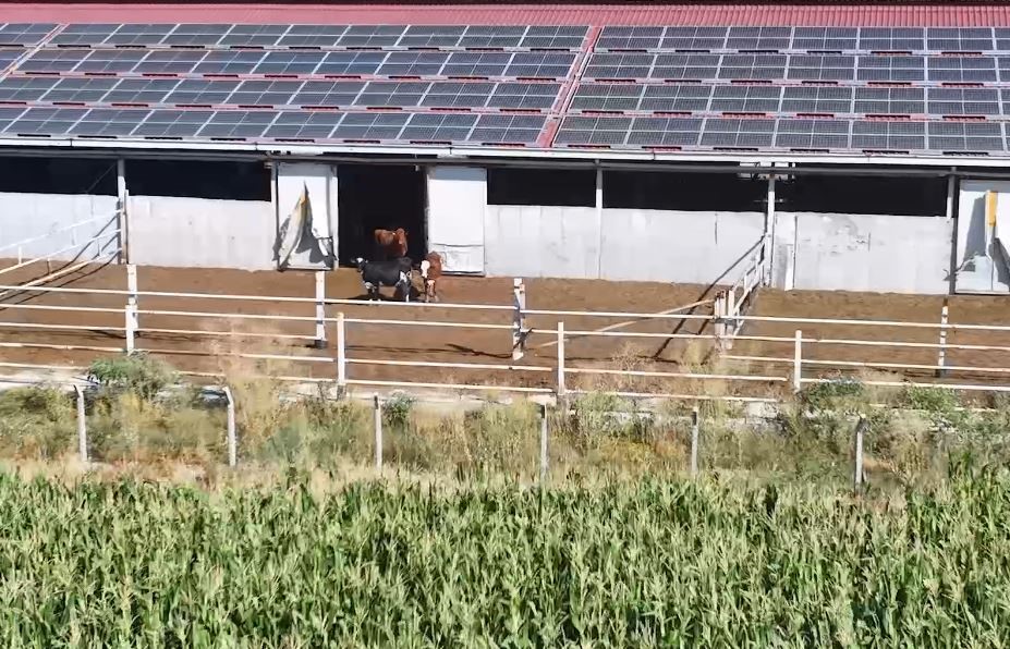 Denizli Haber Tarım8 (3)