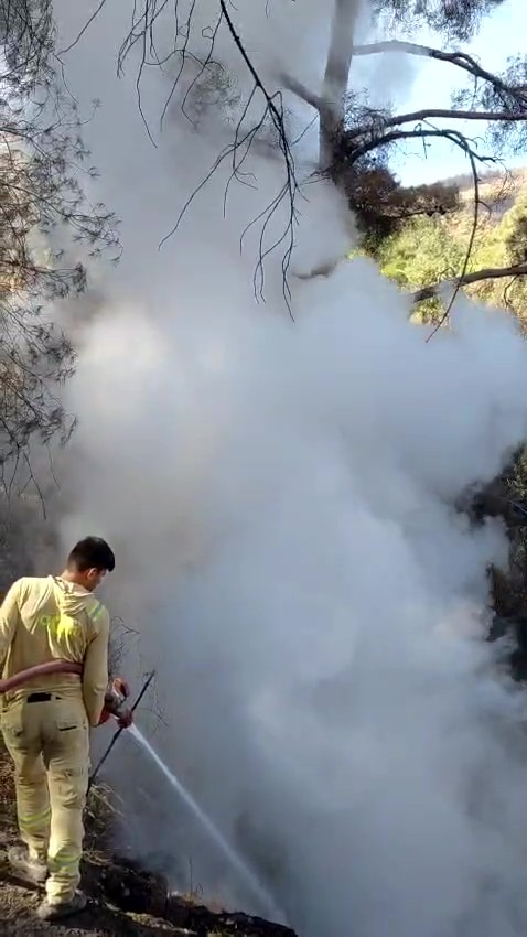 Denizli Haber Yangın1-3