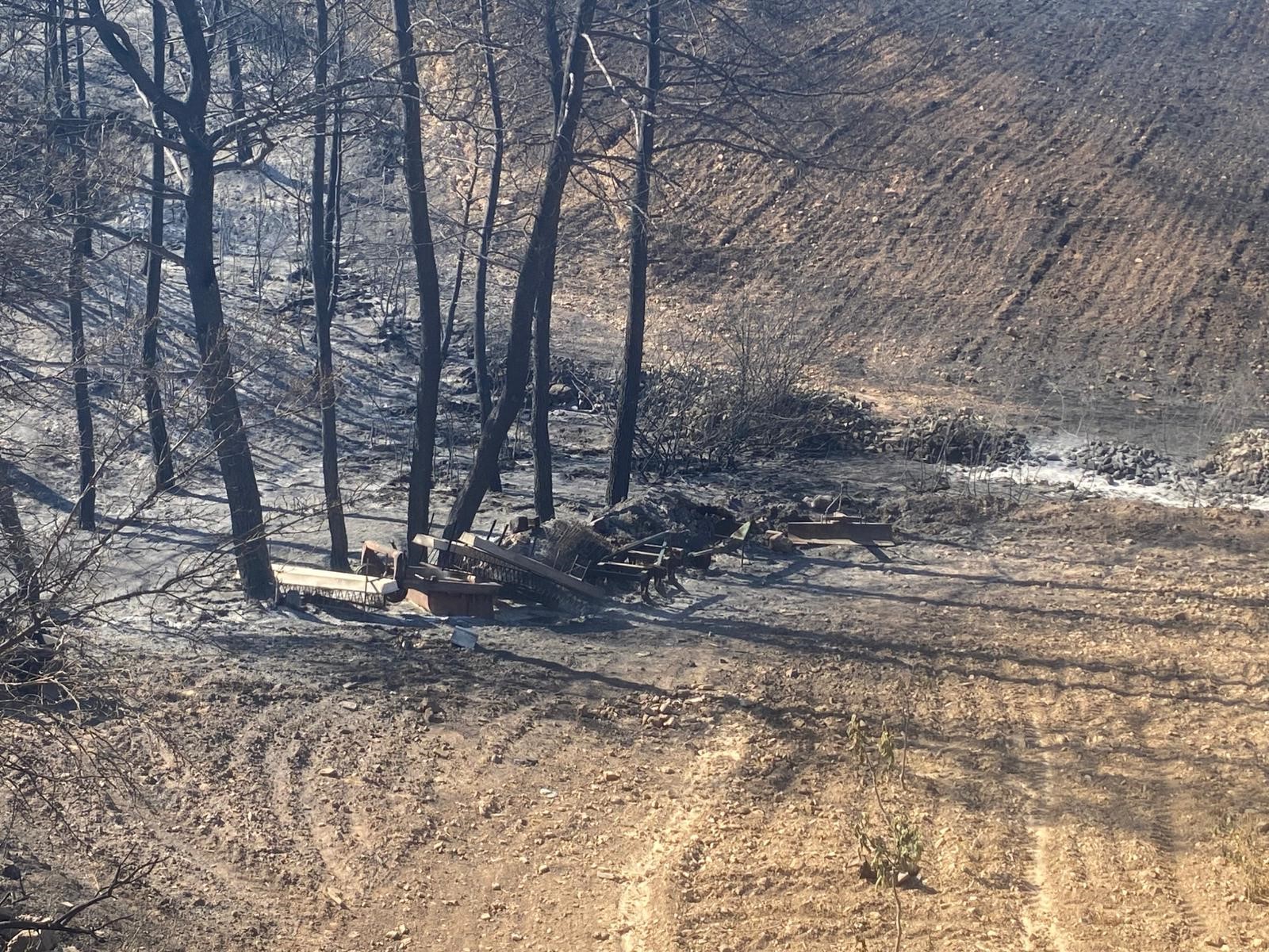 Denizli Haber Yngin Buldan (2)