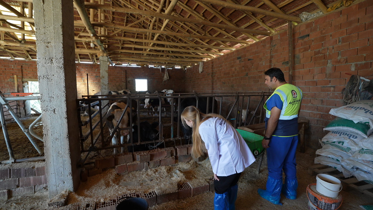 Denizlibüyükşehir Destek