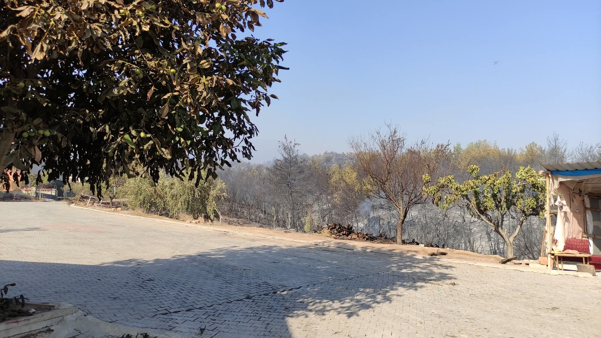 Denizlihaber Bolmekaya 2