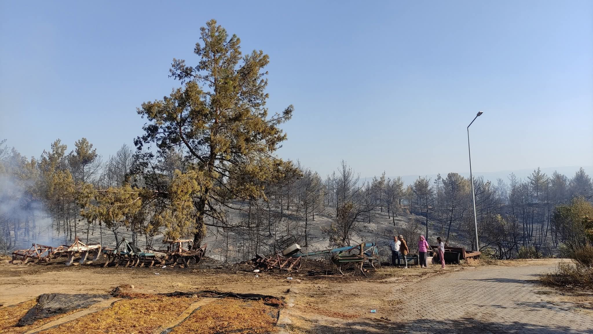 Denizlihaber Bolmekaya 3