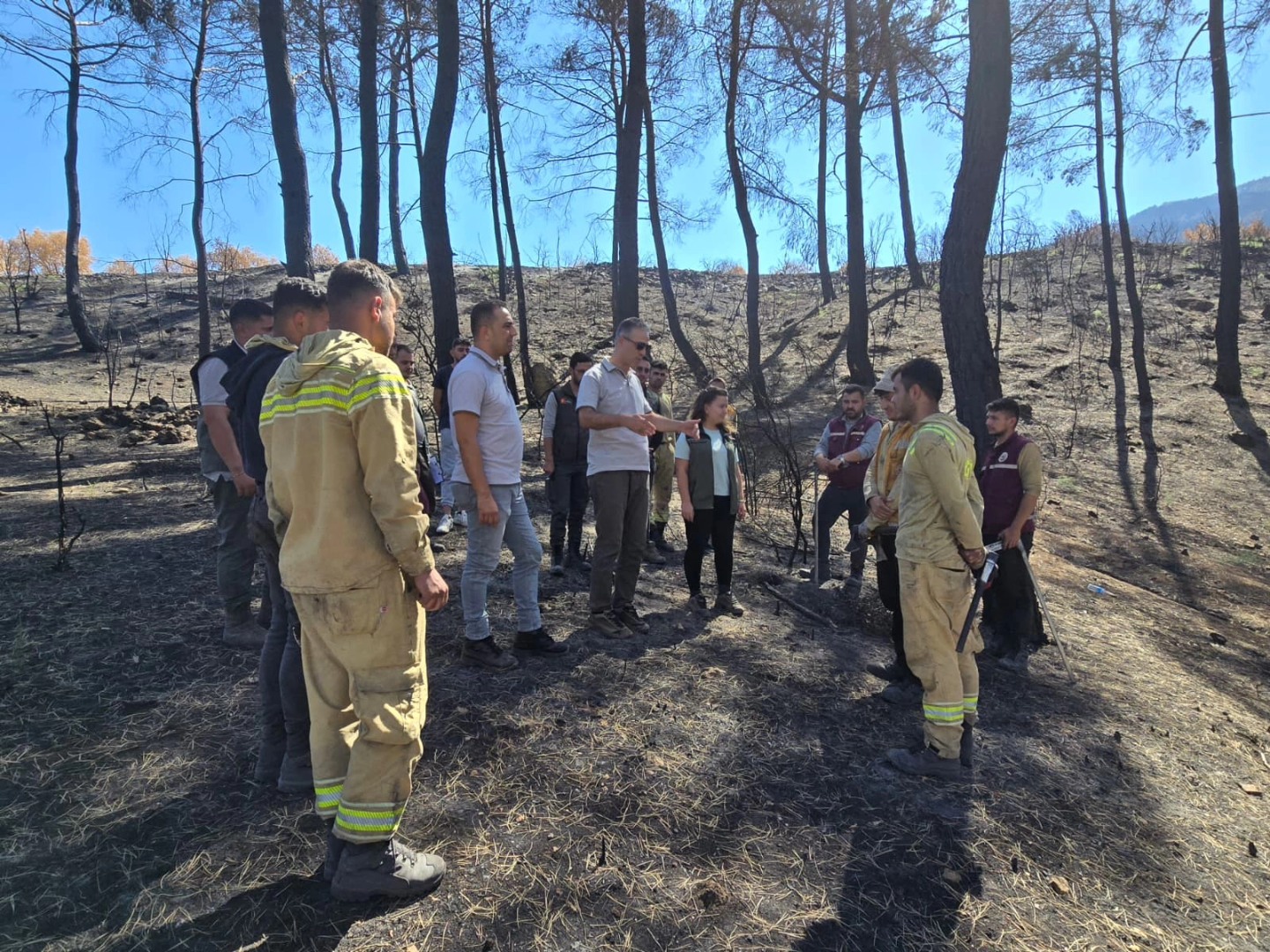 Denizlihaber Buldanobm