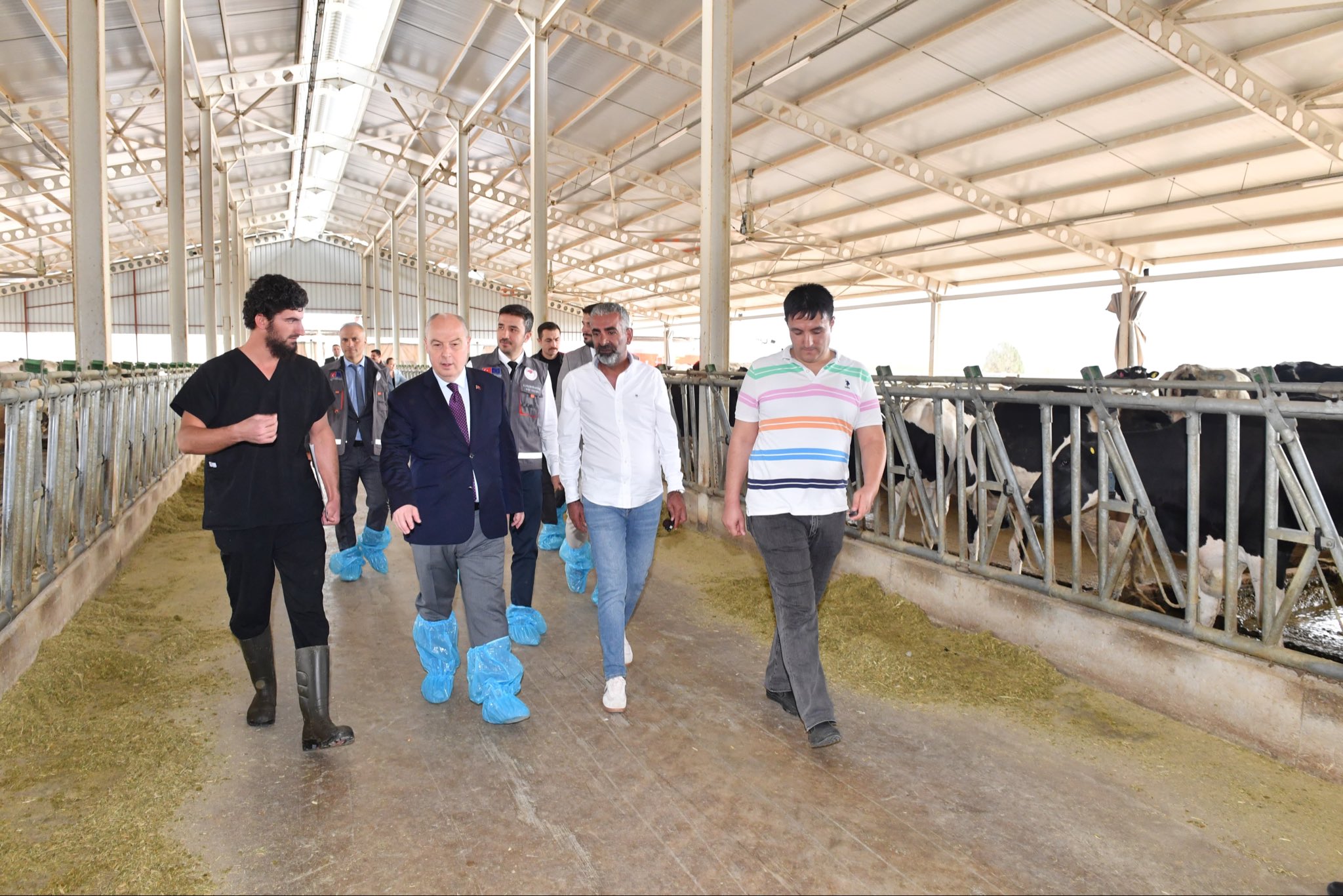 Denizlihaber Hayvancilik