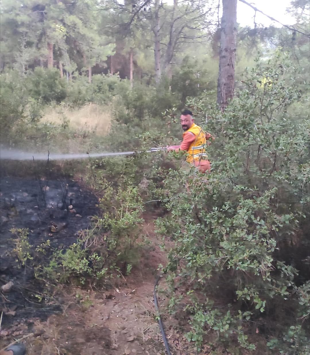 Denizlihaber Ormanbagbasi