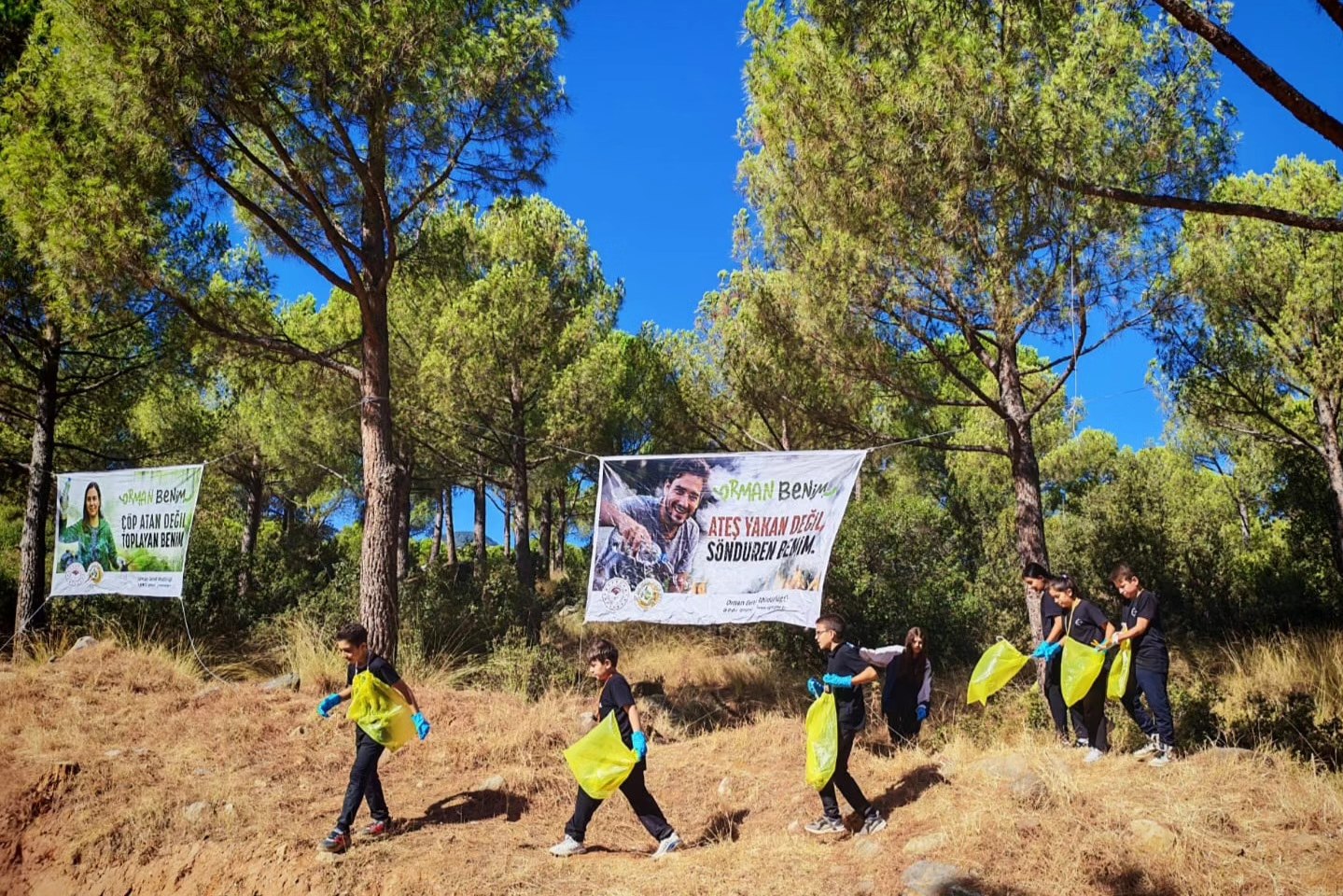 Denizlihaber Ormanmm-1