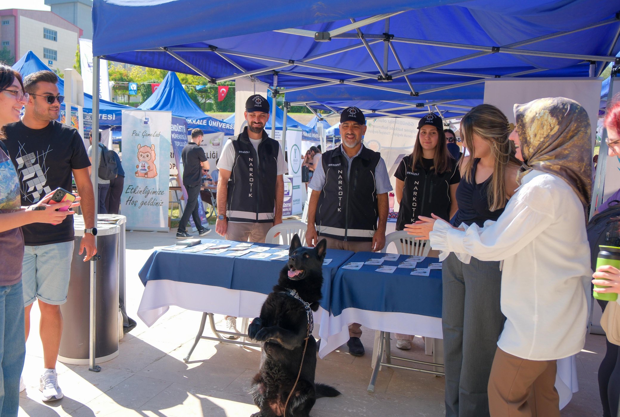 Denizlihaber Pauemniyet