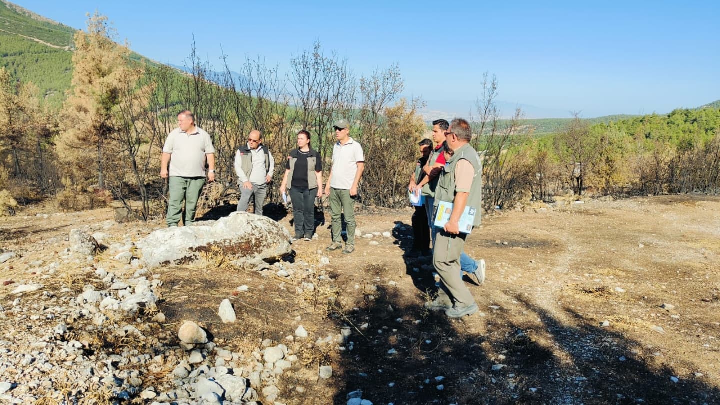 Denizlihaberhonazdagi