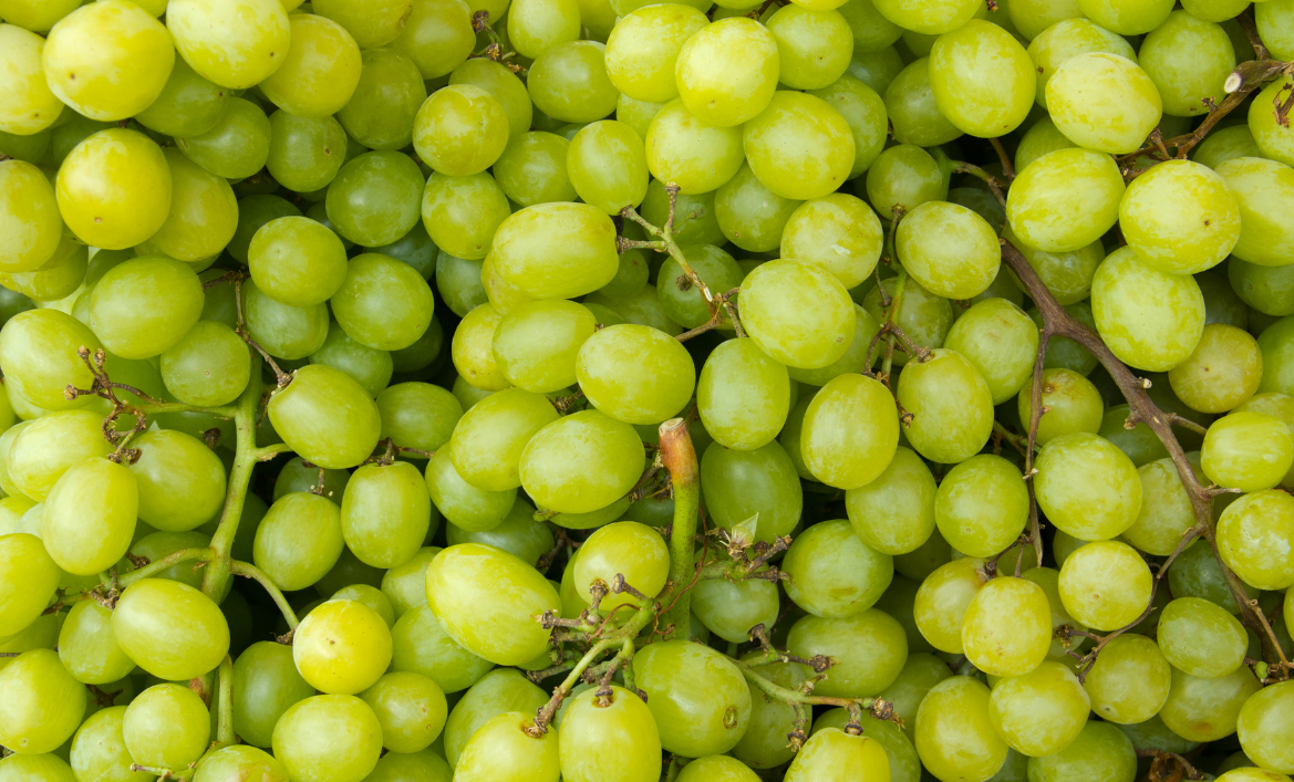 Üzüm (1)-1