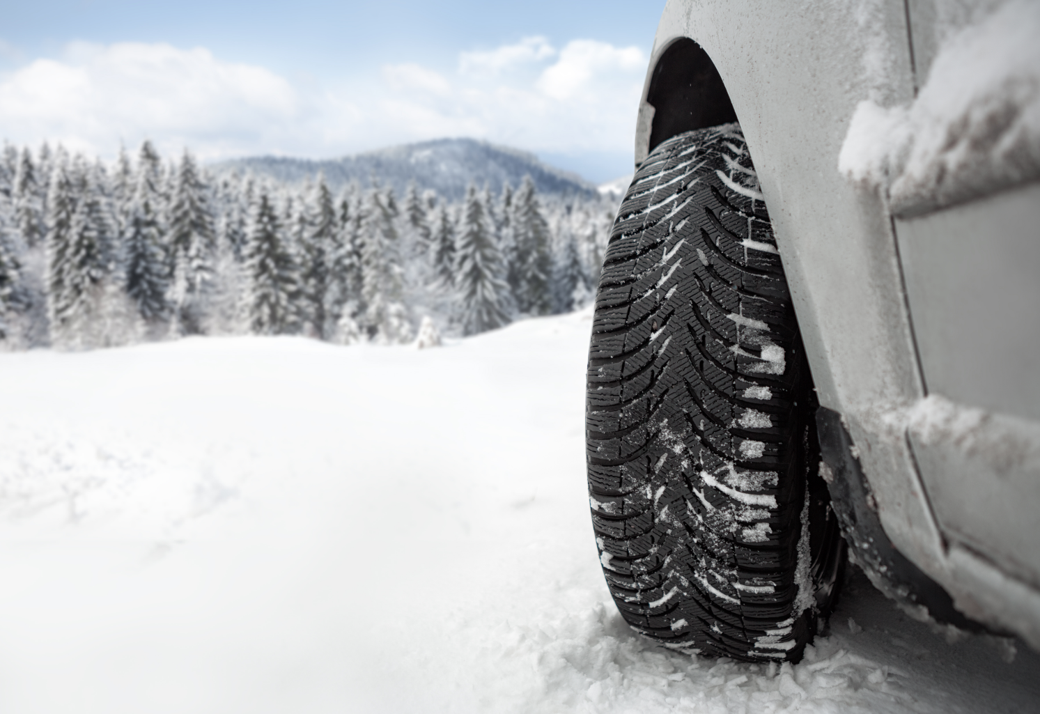 Araba Sigortası (1)