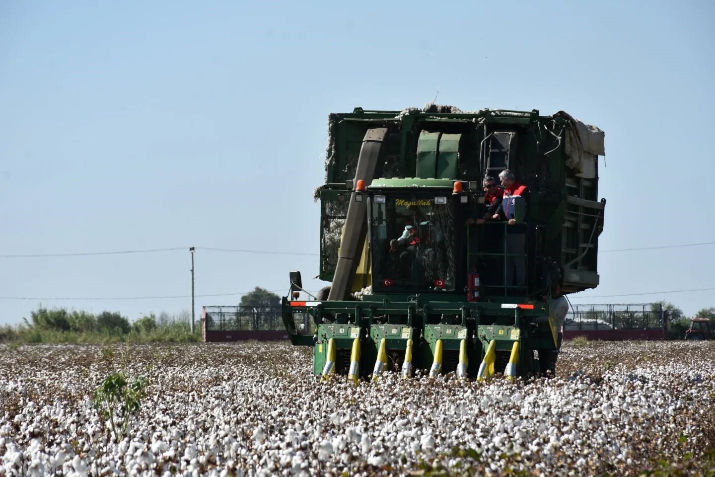 Denizli Ahber Pamukhasadı (2)