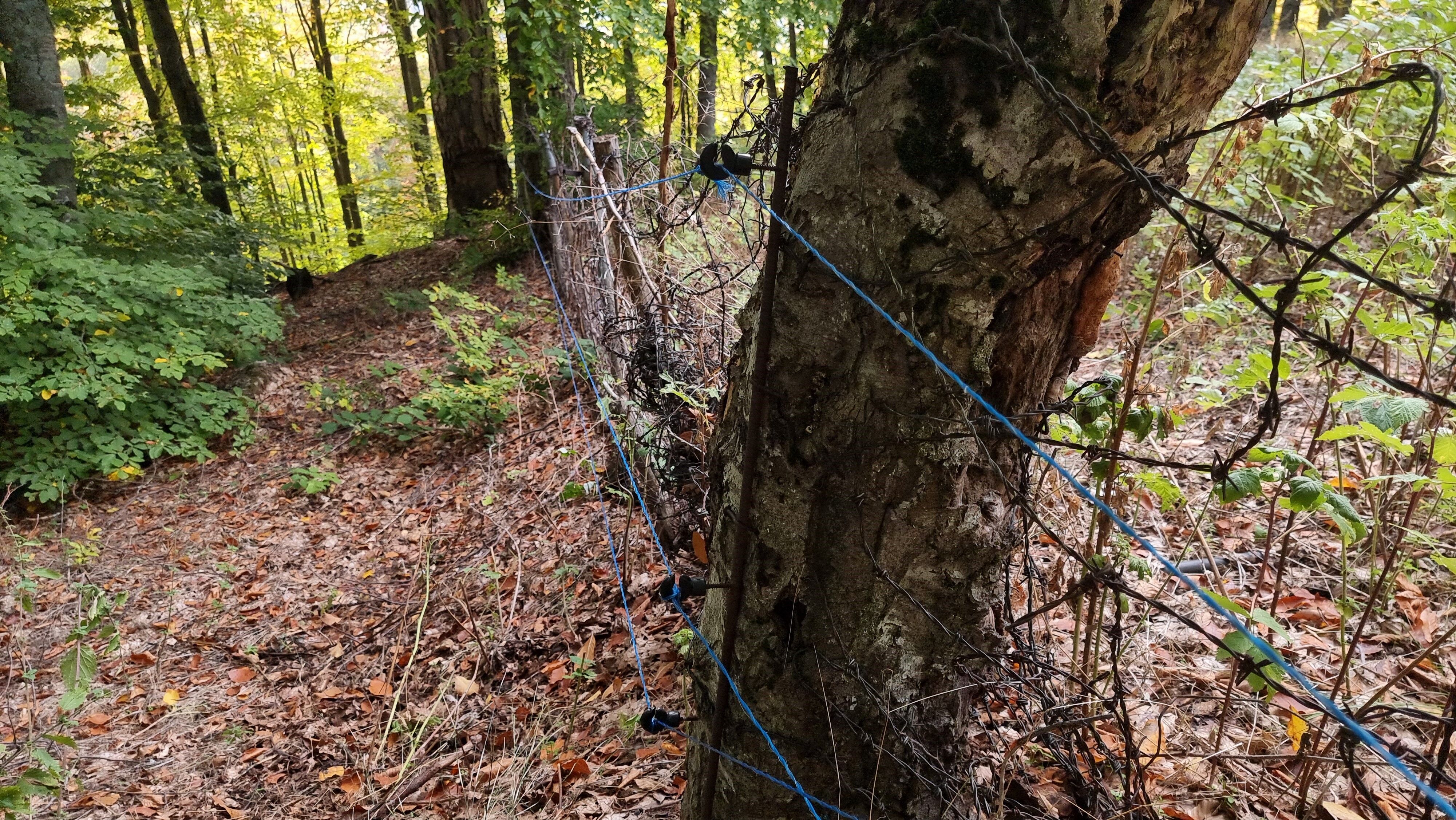 Denizli Haber Ahududu (2)