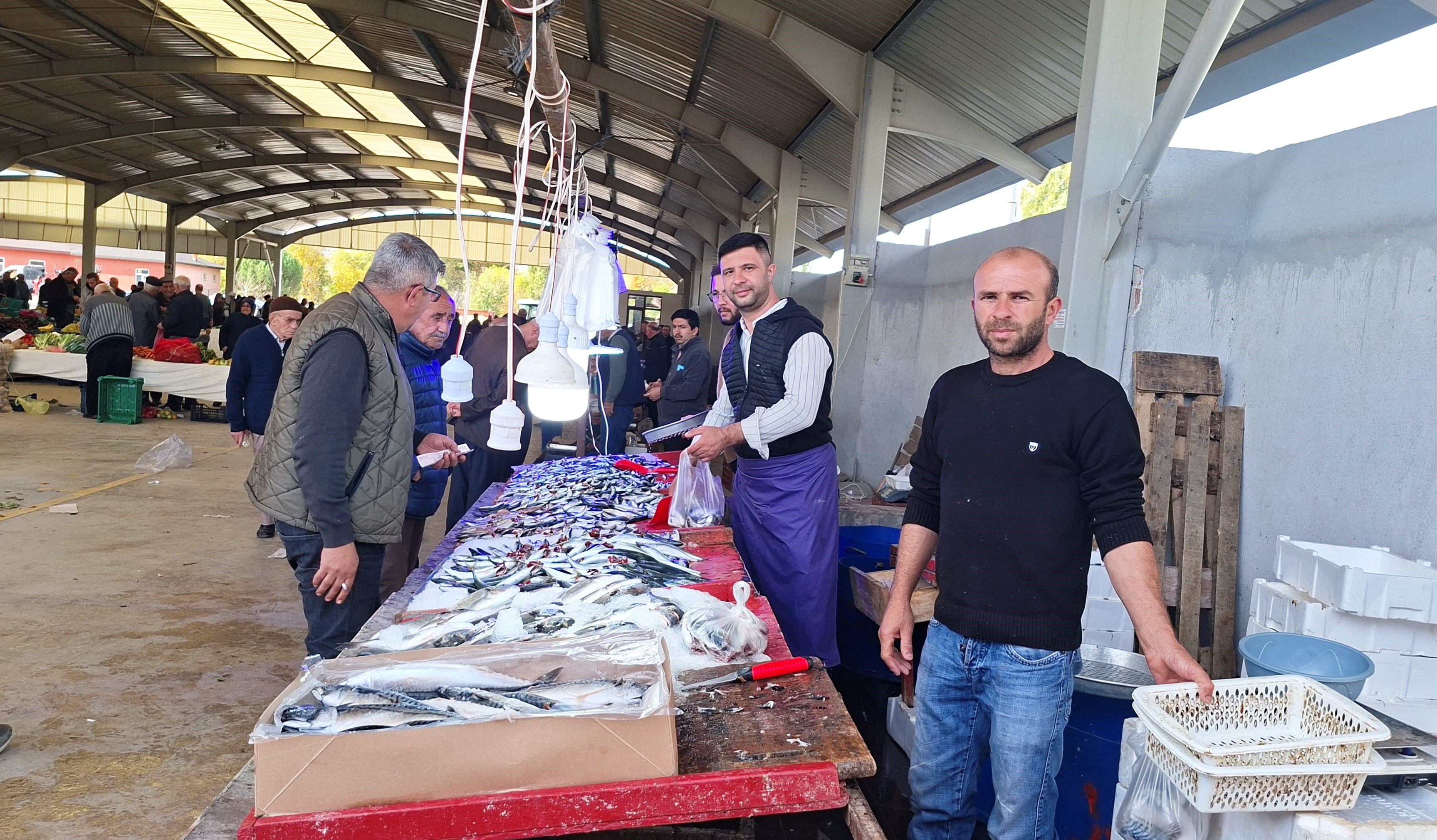 Denizli Haber Balık-4