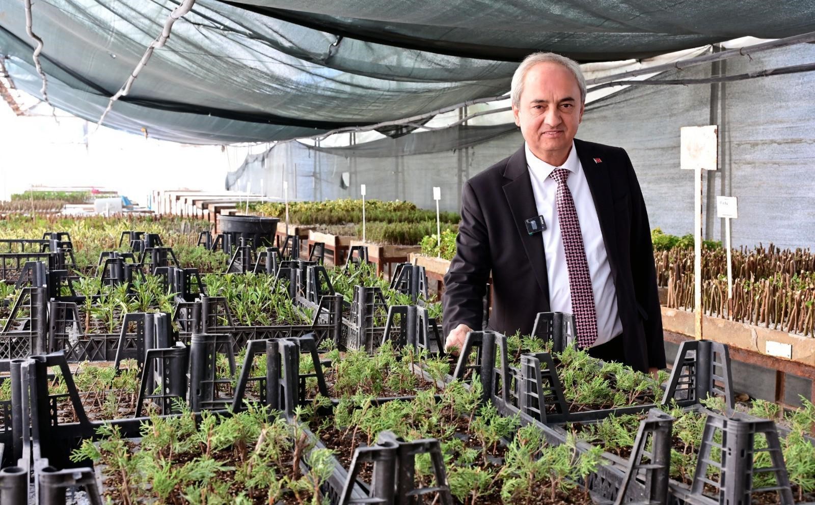 Denizli Haber Bitki (2)