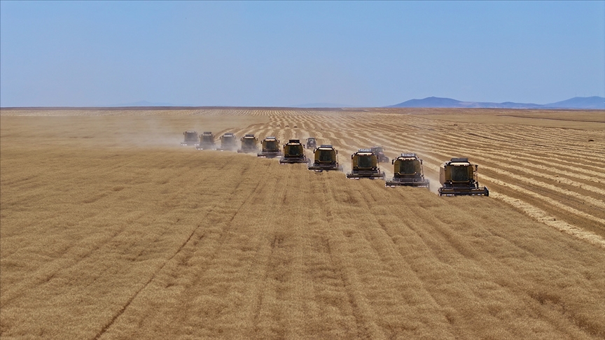 Denizli Haber Bütçeden Tarımsal Desteklere 168 Milyar Lira Ayrıldı