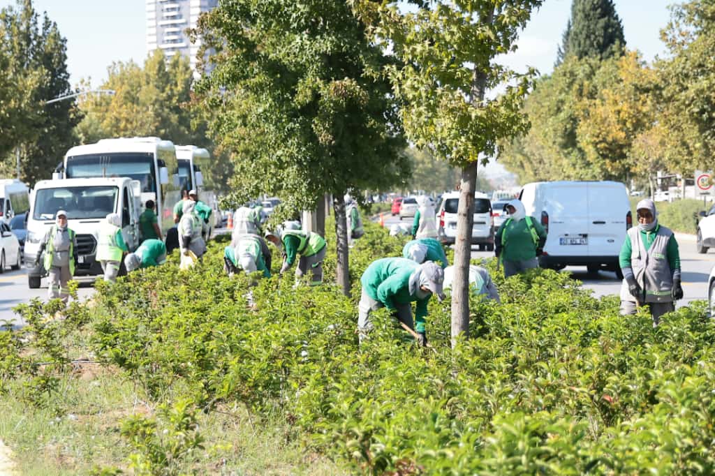 Denizli Haber Büyükşehirsu (4)