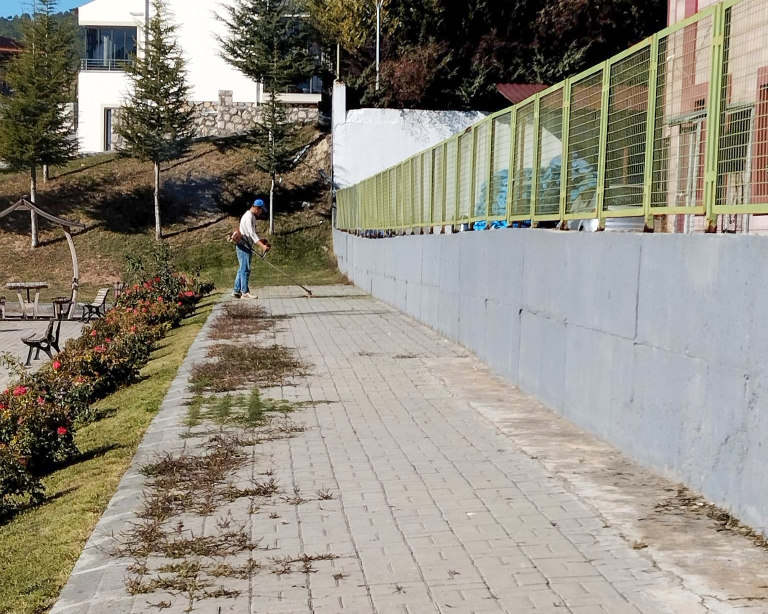 Denizli Haber Çameli-16