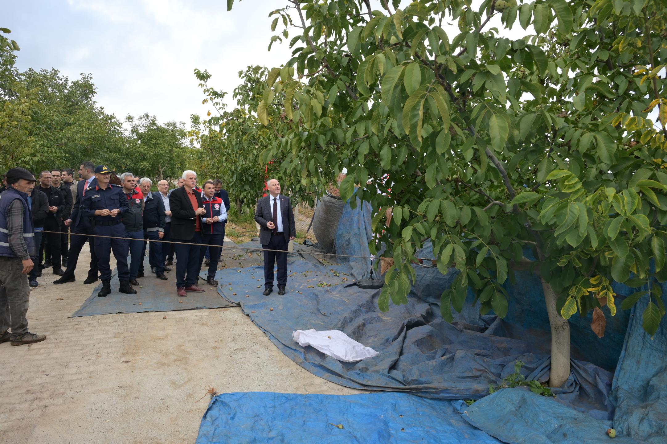 Denizli Haber Cevizhasadı (12)