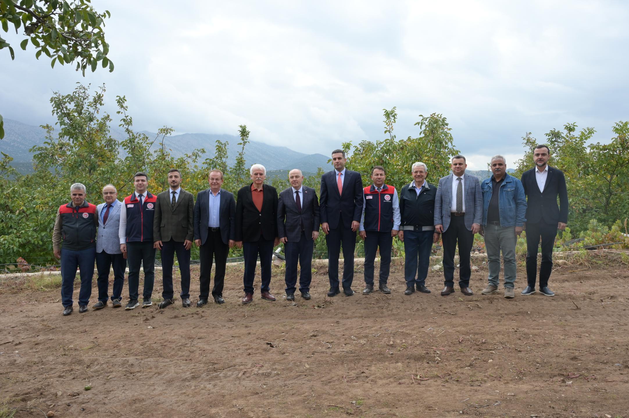 Denizli Haber Cevizhasadı (9)