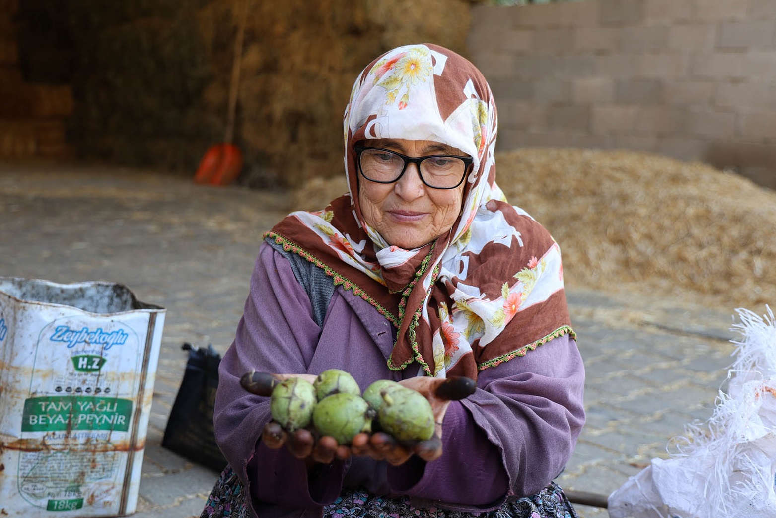 Denizli Haber Chasat