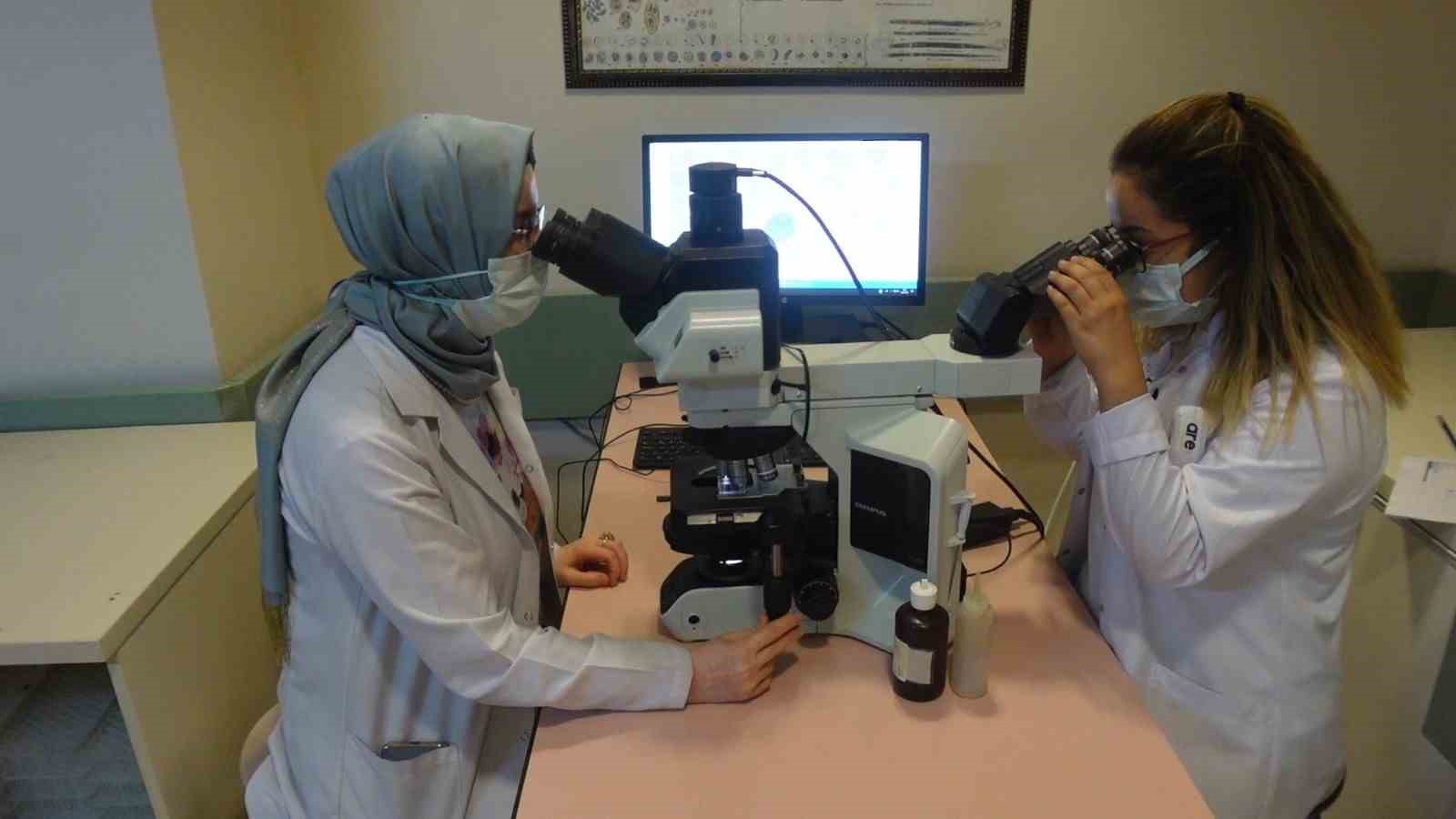 Denizli Haber Çiçekaçıklama