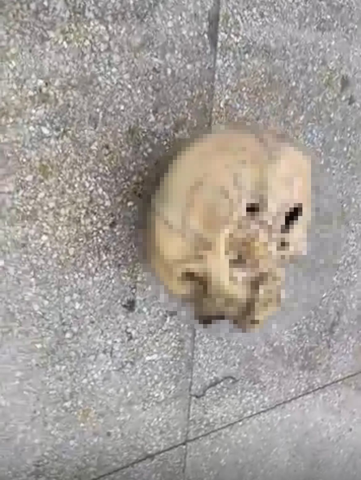 Denizli Haber Dehşey (2)