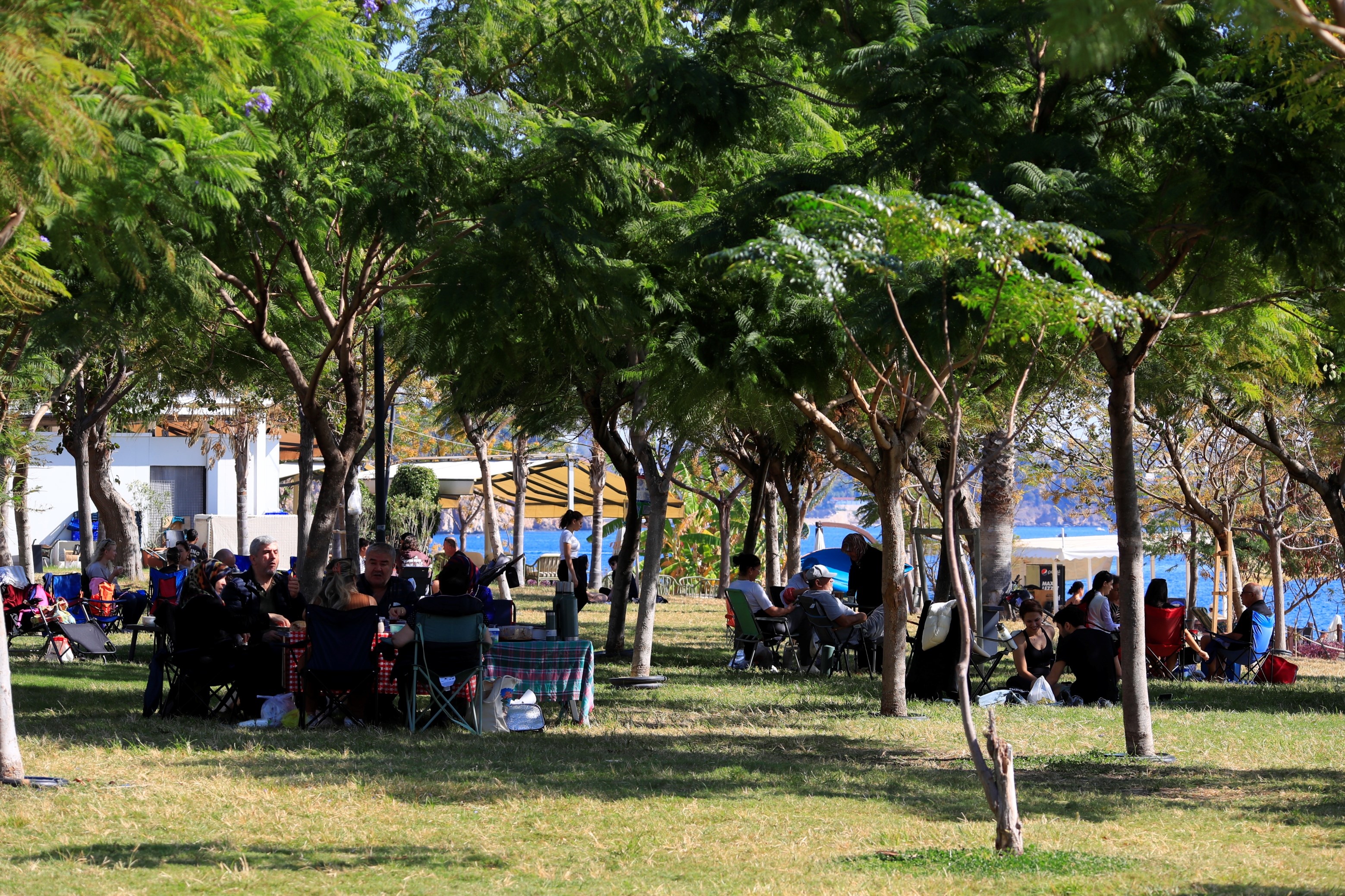 Denizli Haber Deniz (3)