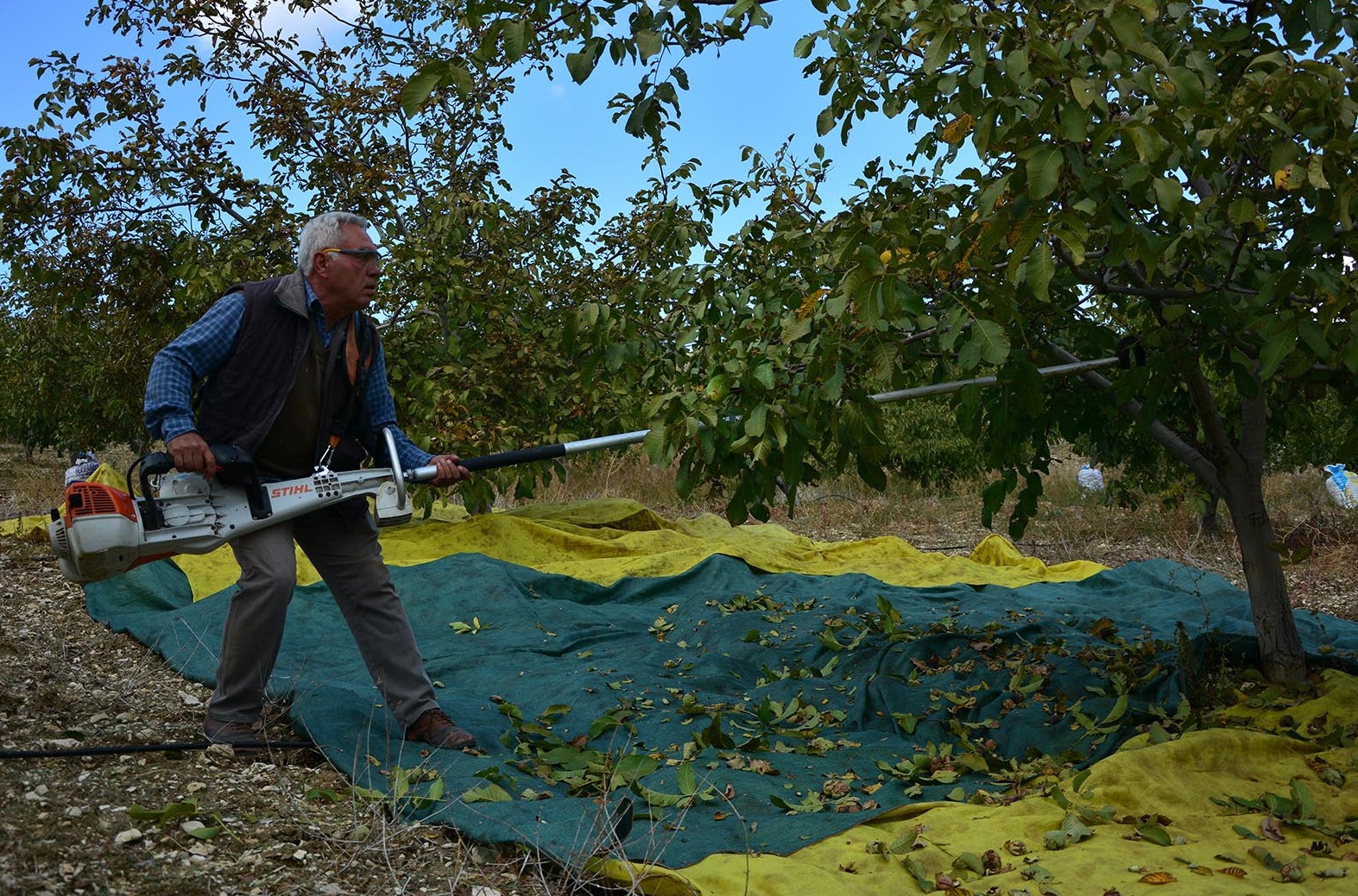 Denizli Haber Hasat-8