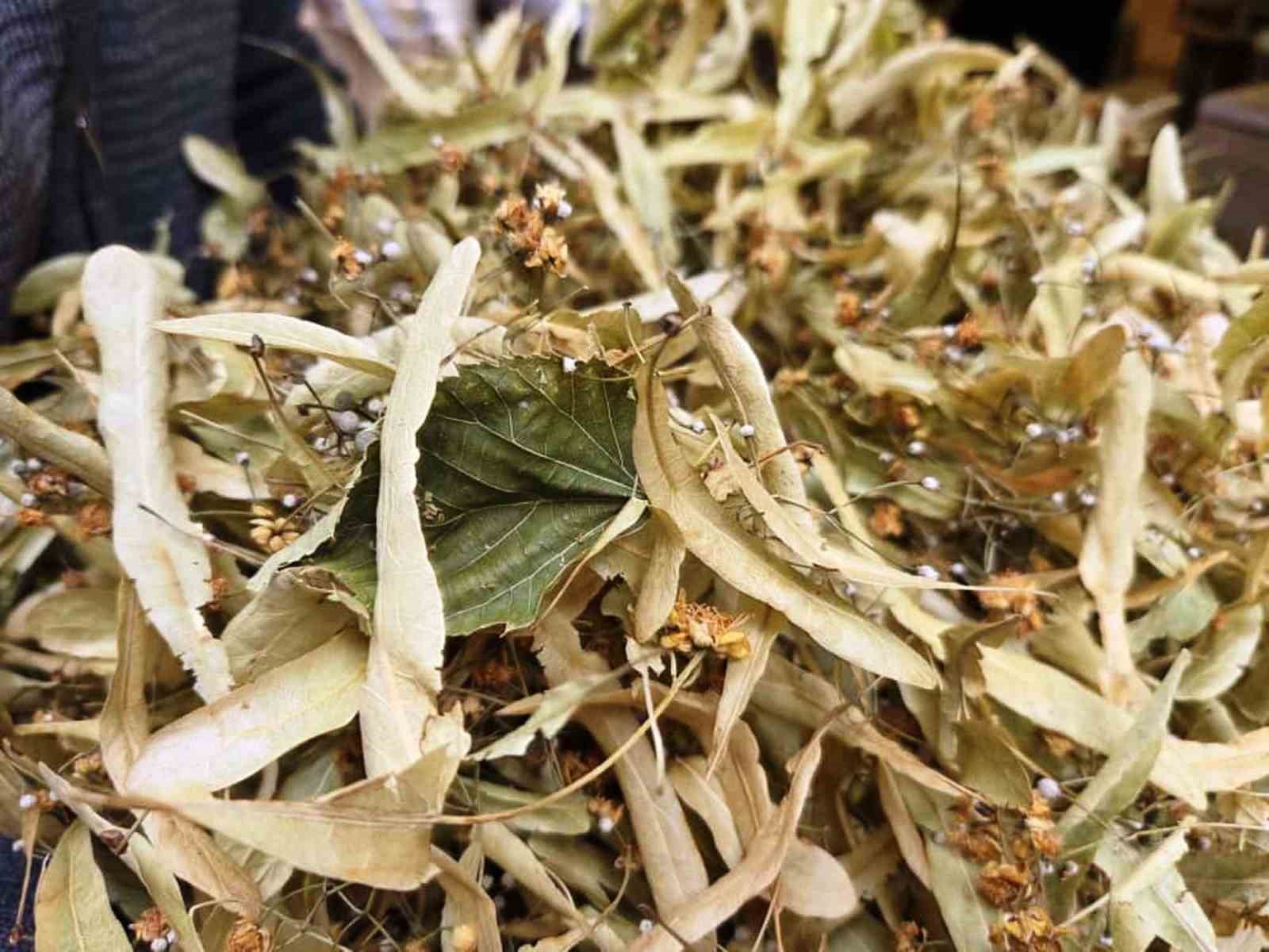 Denizli Haber Ihlamur