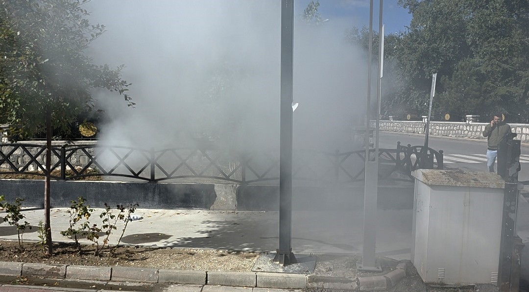 Denizli Haber Ilaçlama-1