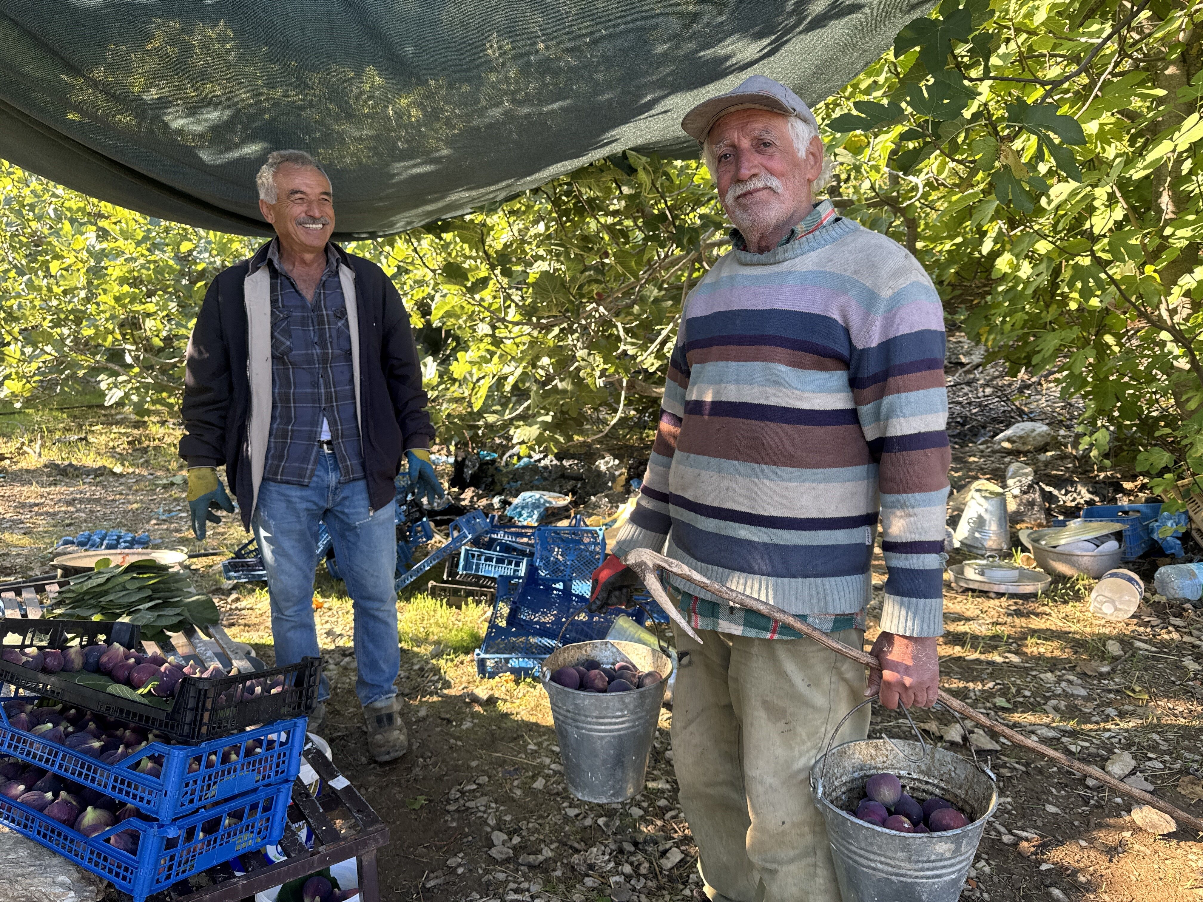 Denizli Haber Incir (1)-7