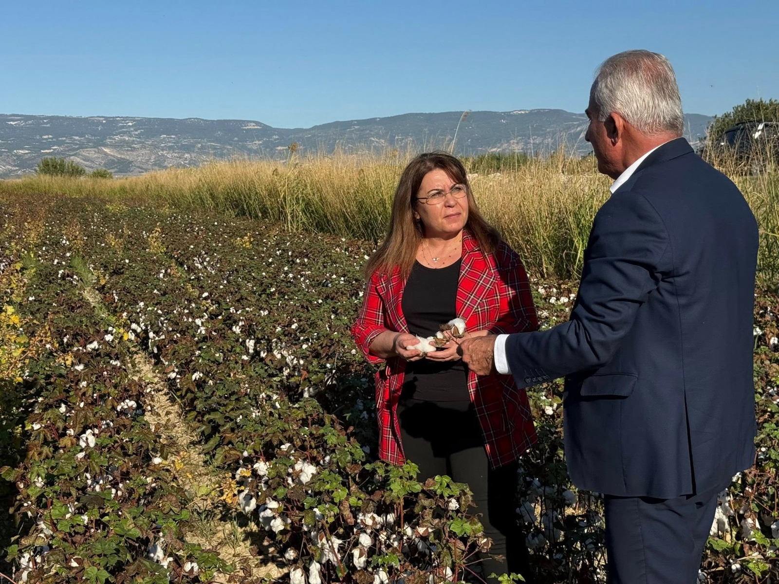 Denizli Haber Karaca Pamuk (2)