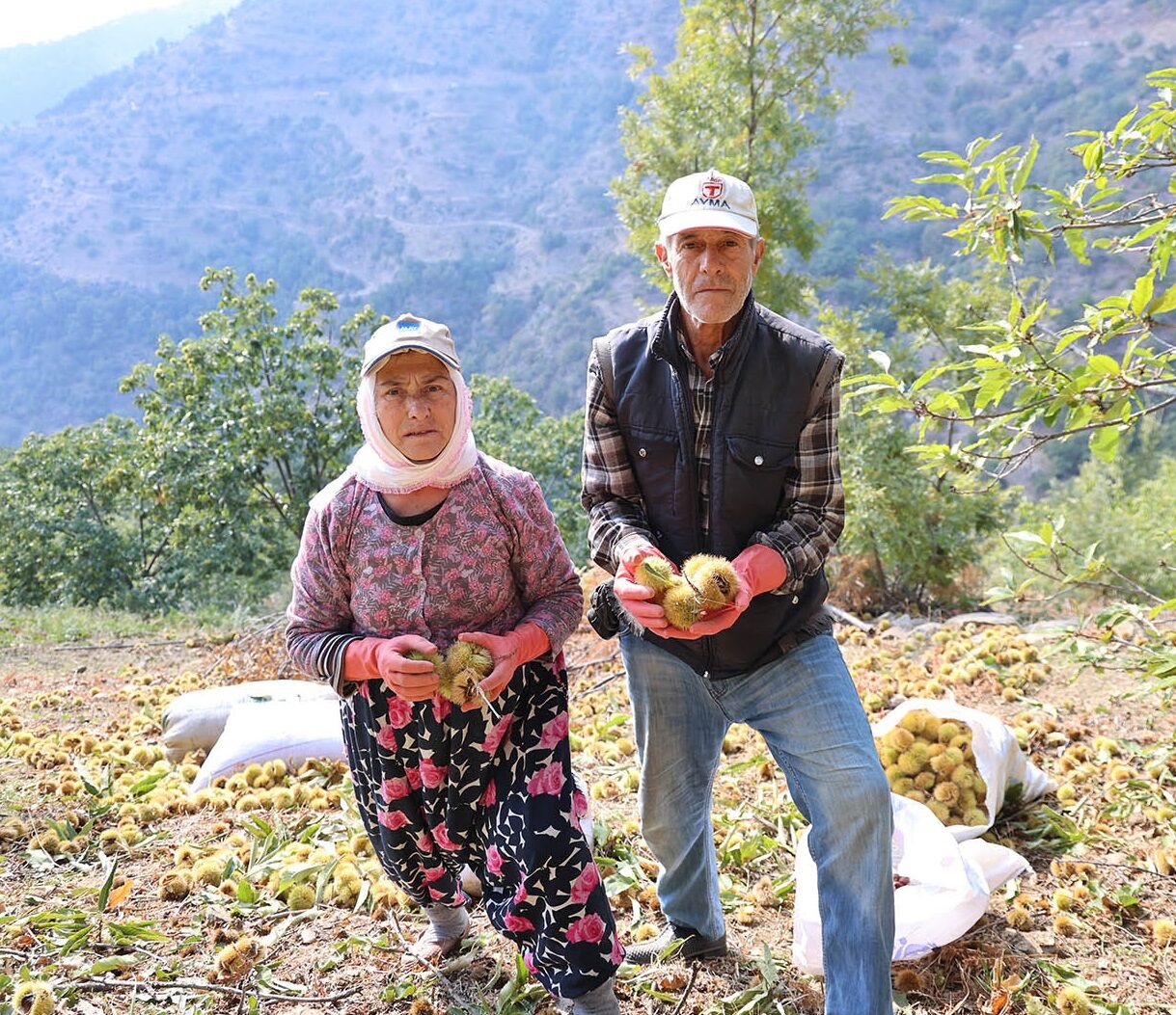 Denizli Haber Kkestane