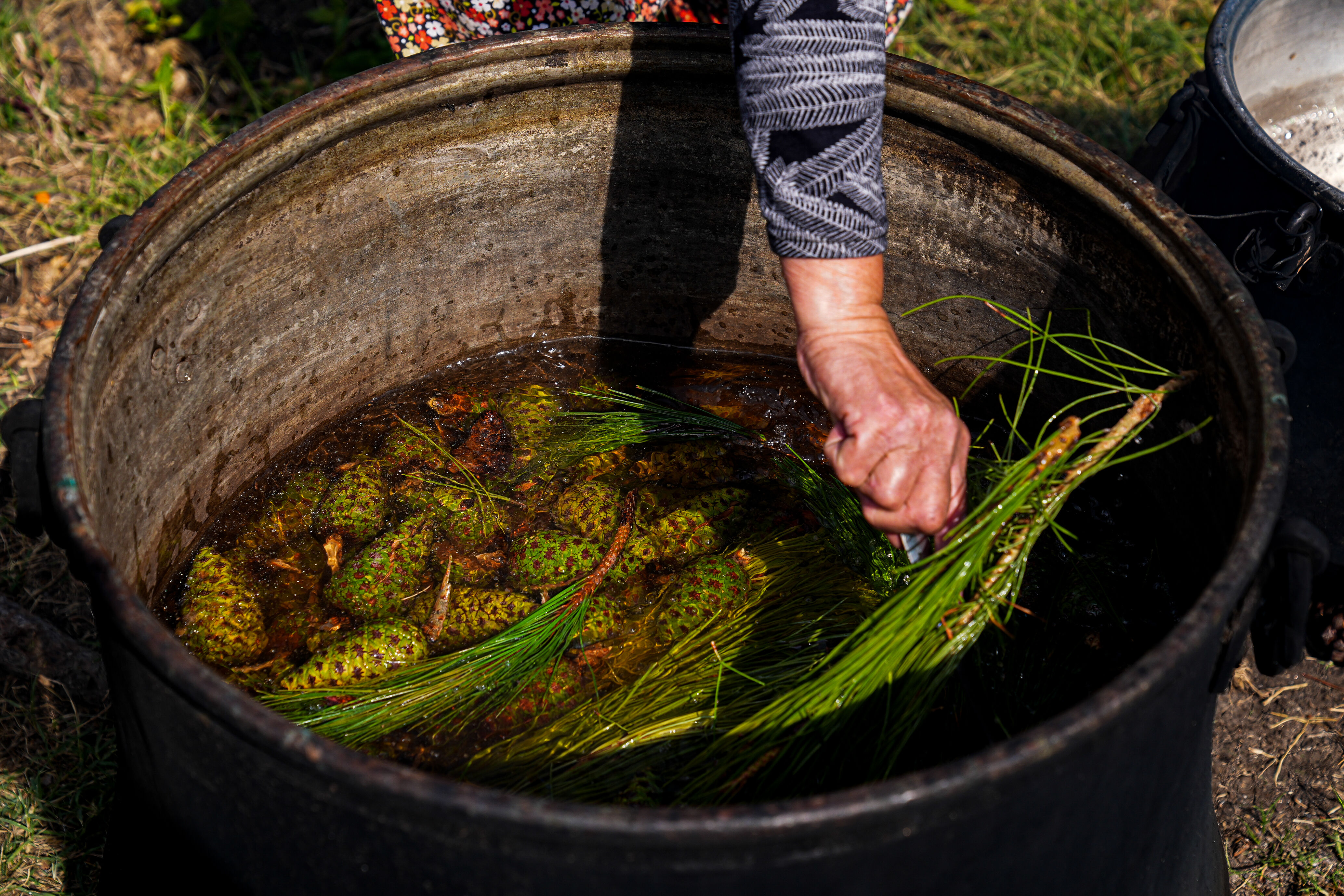 Denizli Haber Kozalak (1)
