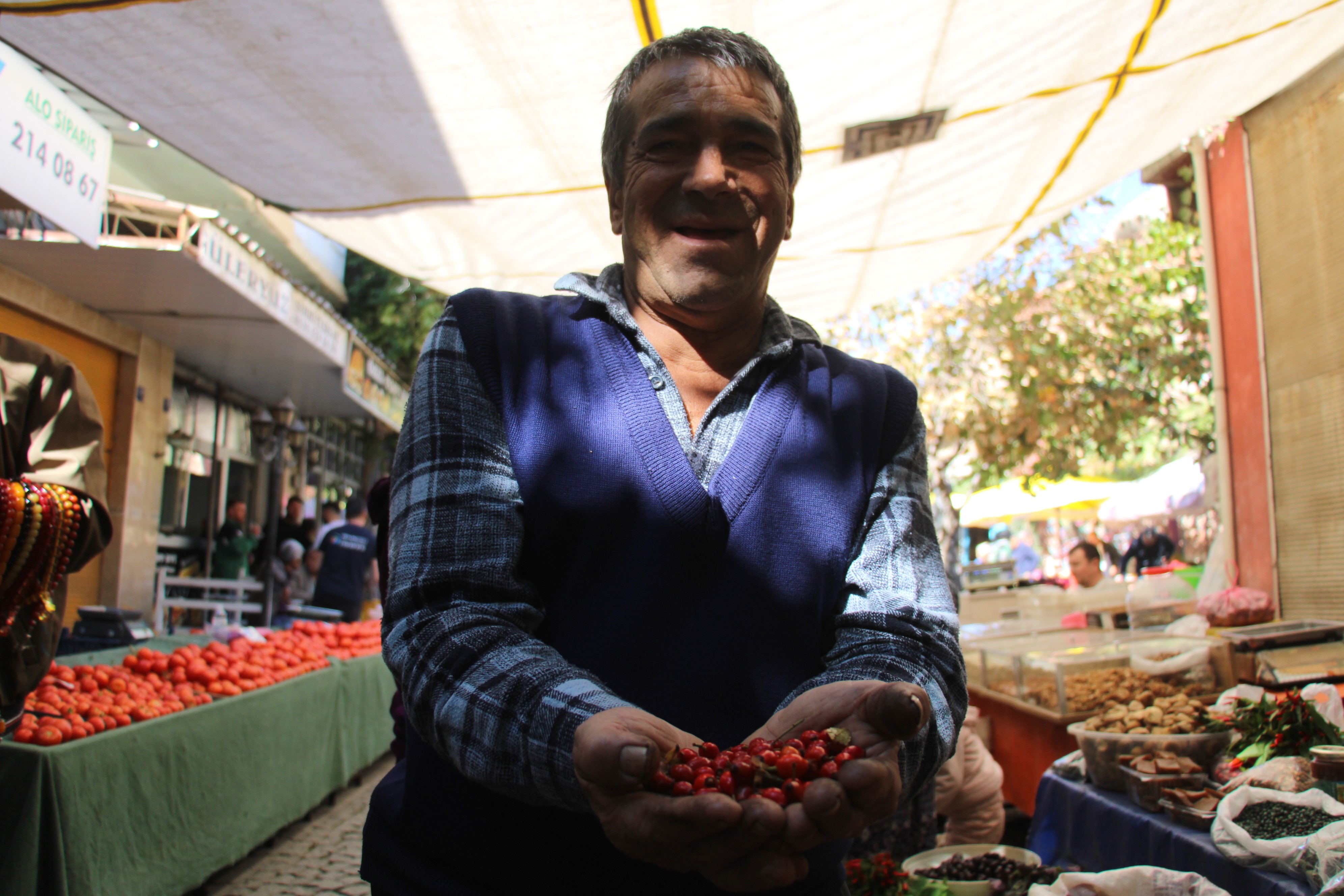 Denizli Haber Kuşburnu (1)