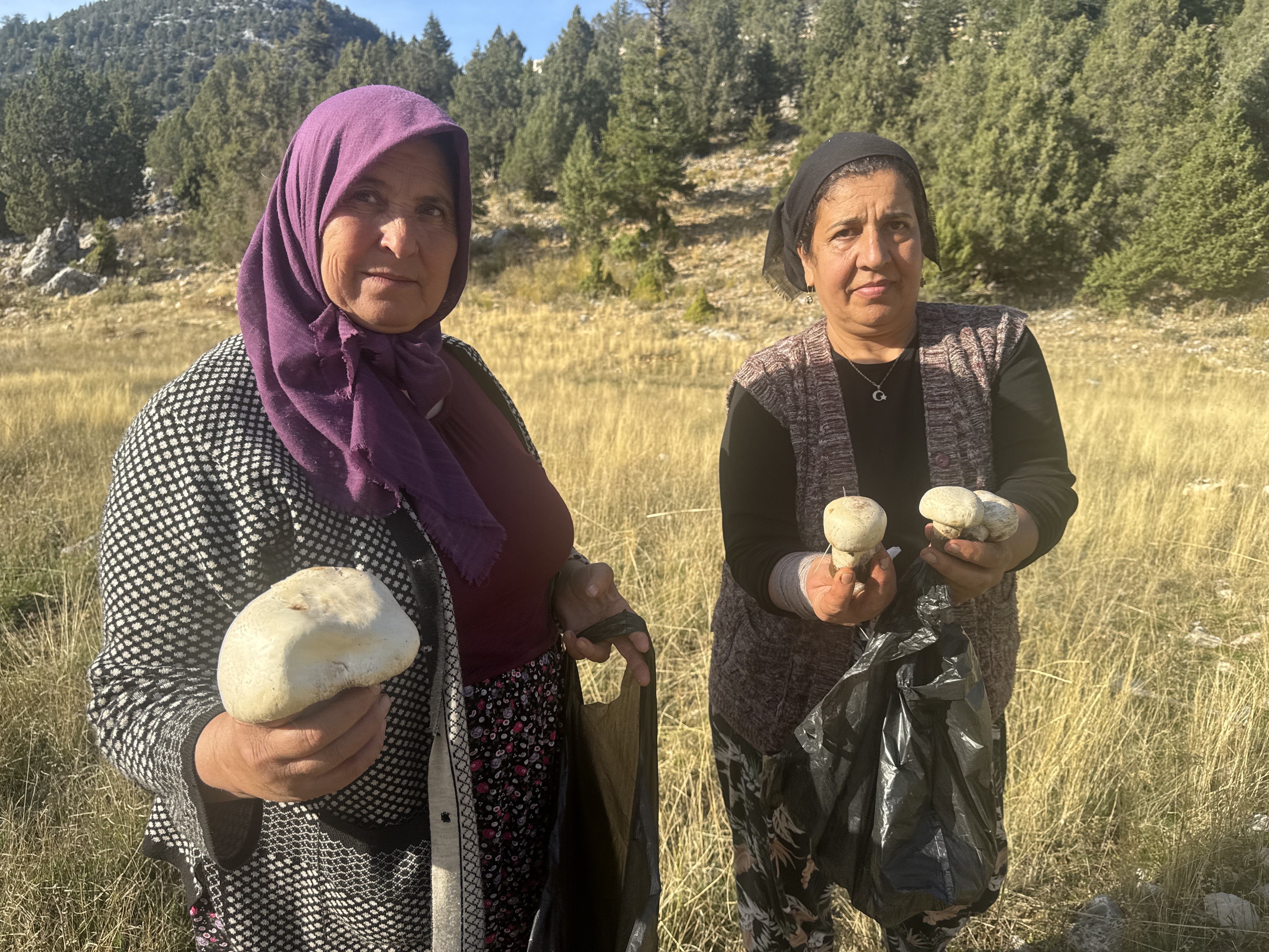 Denizli Haber Mantarr (2)