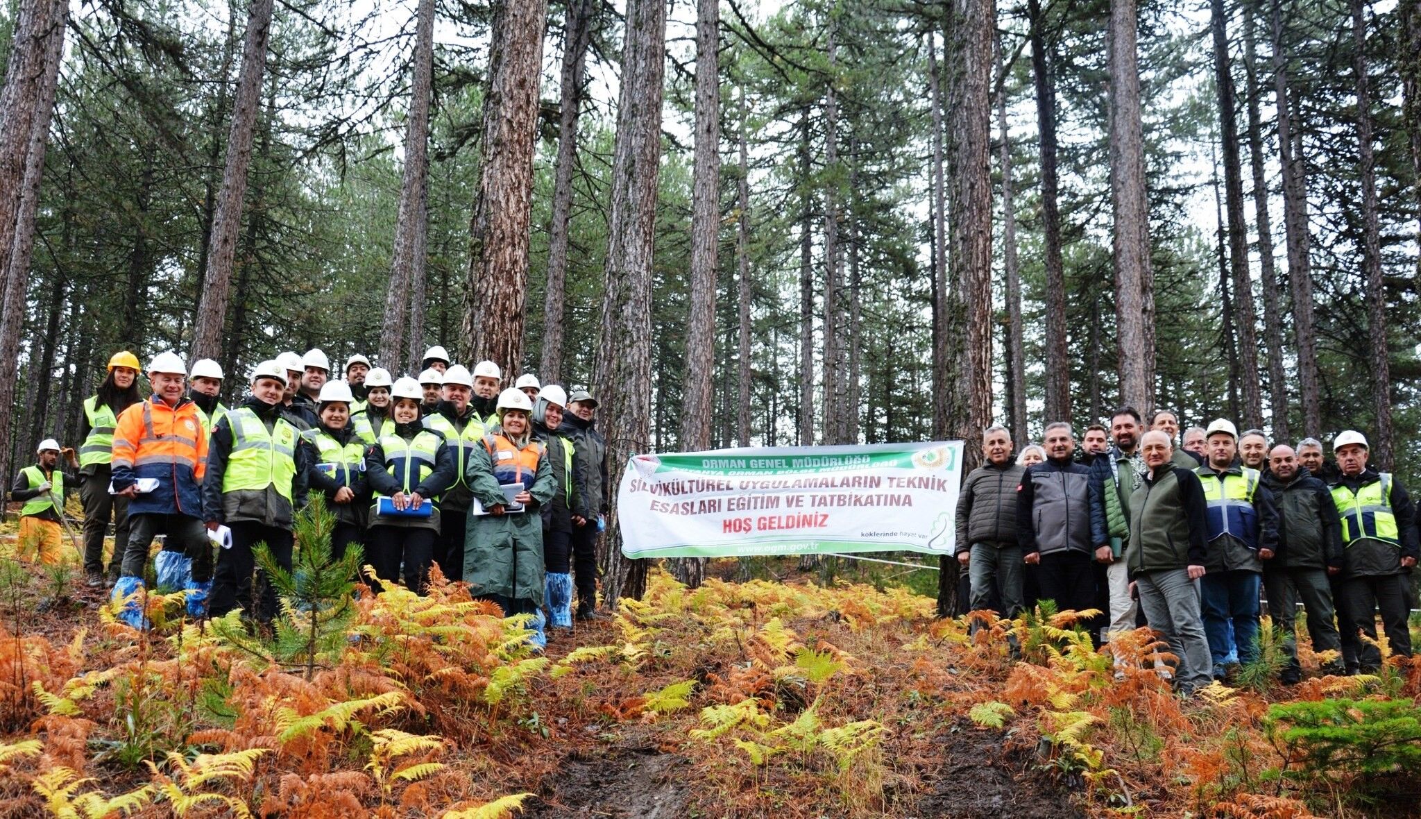 Denizli Haber Orman (1)-1