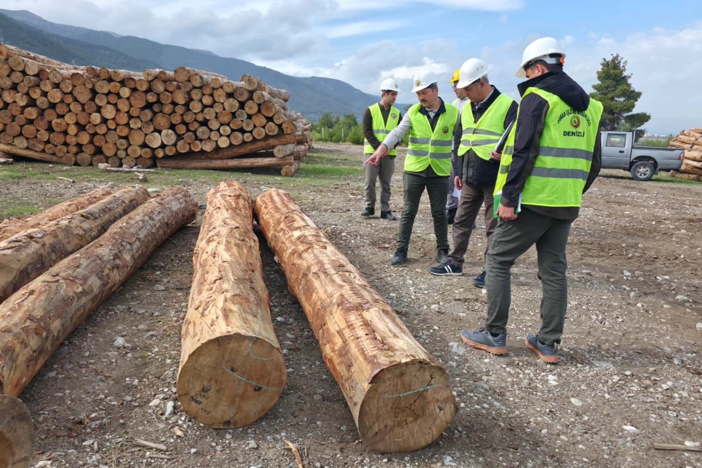 Denizli Haber Orman Zararlı (2)