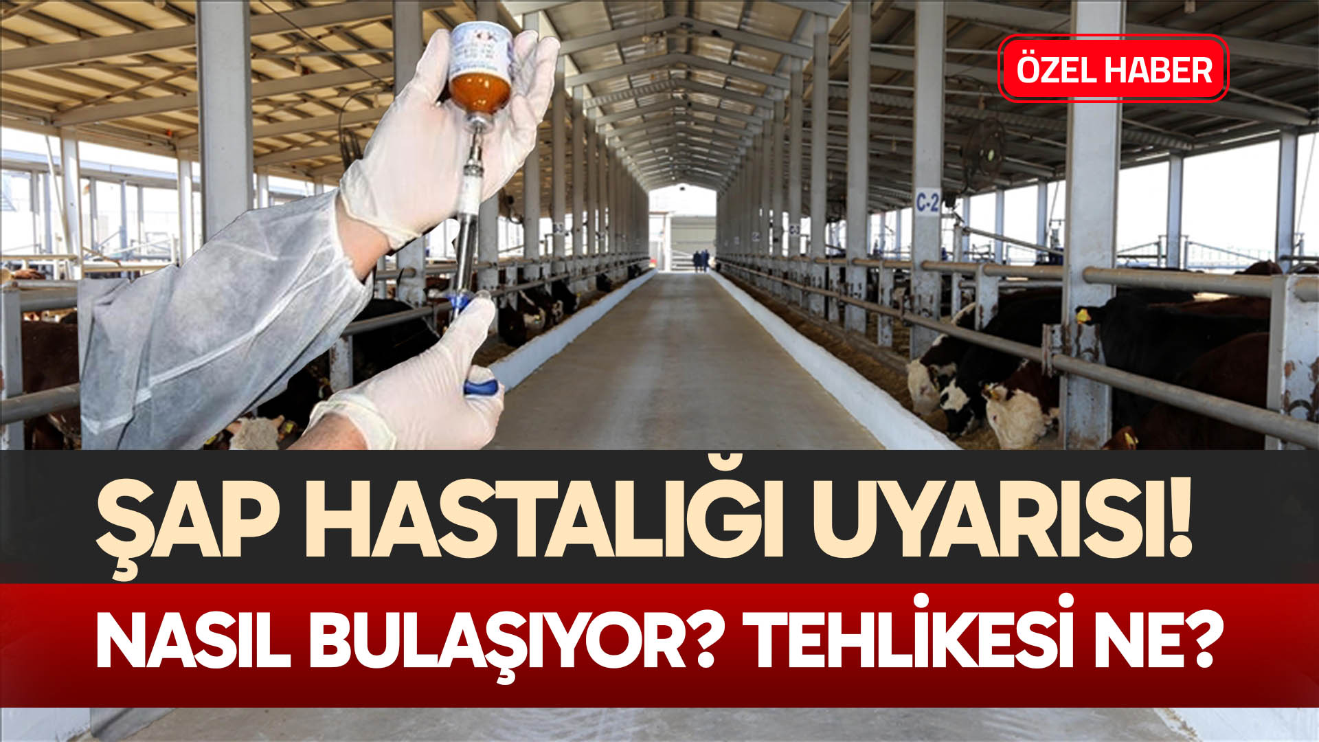 Deni̇zli̇ Haber Şap-2