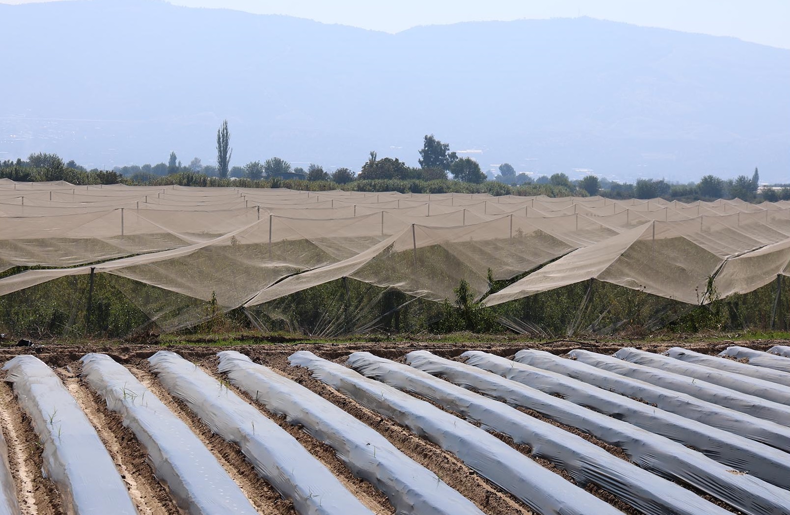 Denizli Haber Sigortaa3