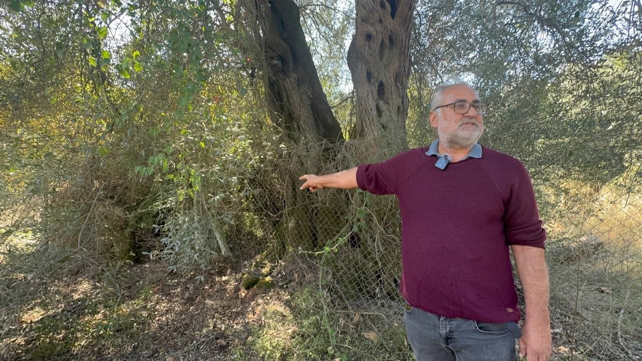 Denizli Haber Sit (2)-1