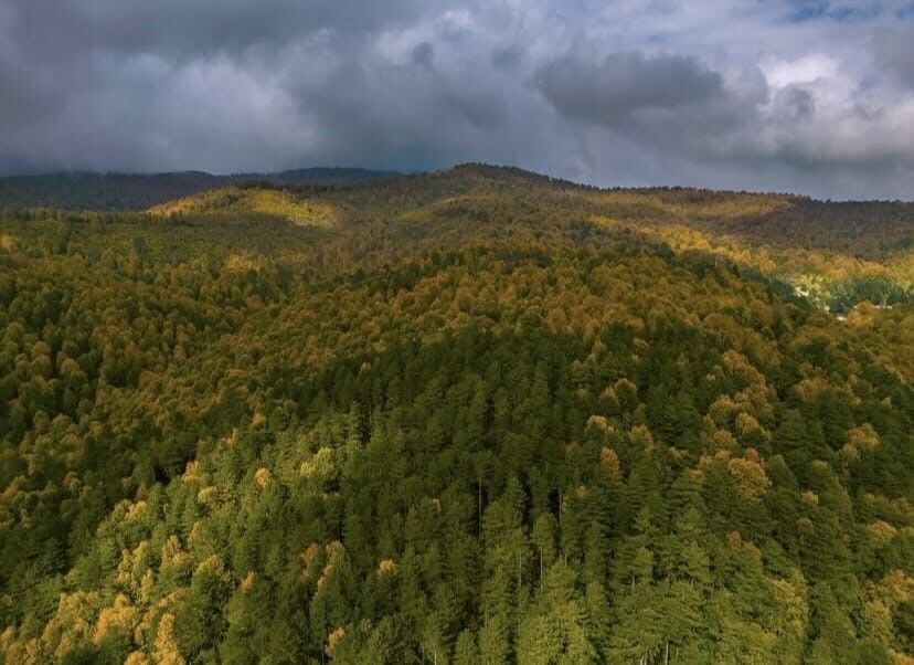 Denizli Haber Sonbahar (2)