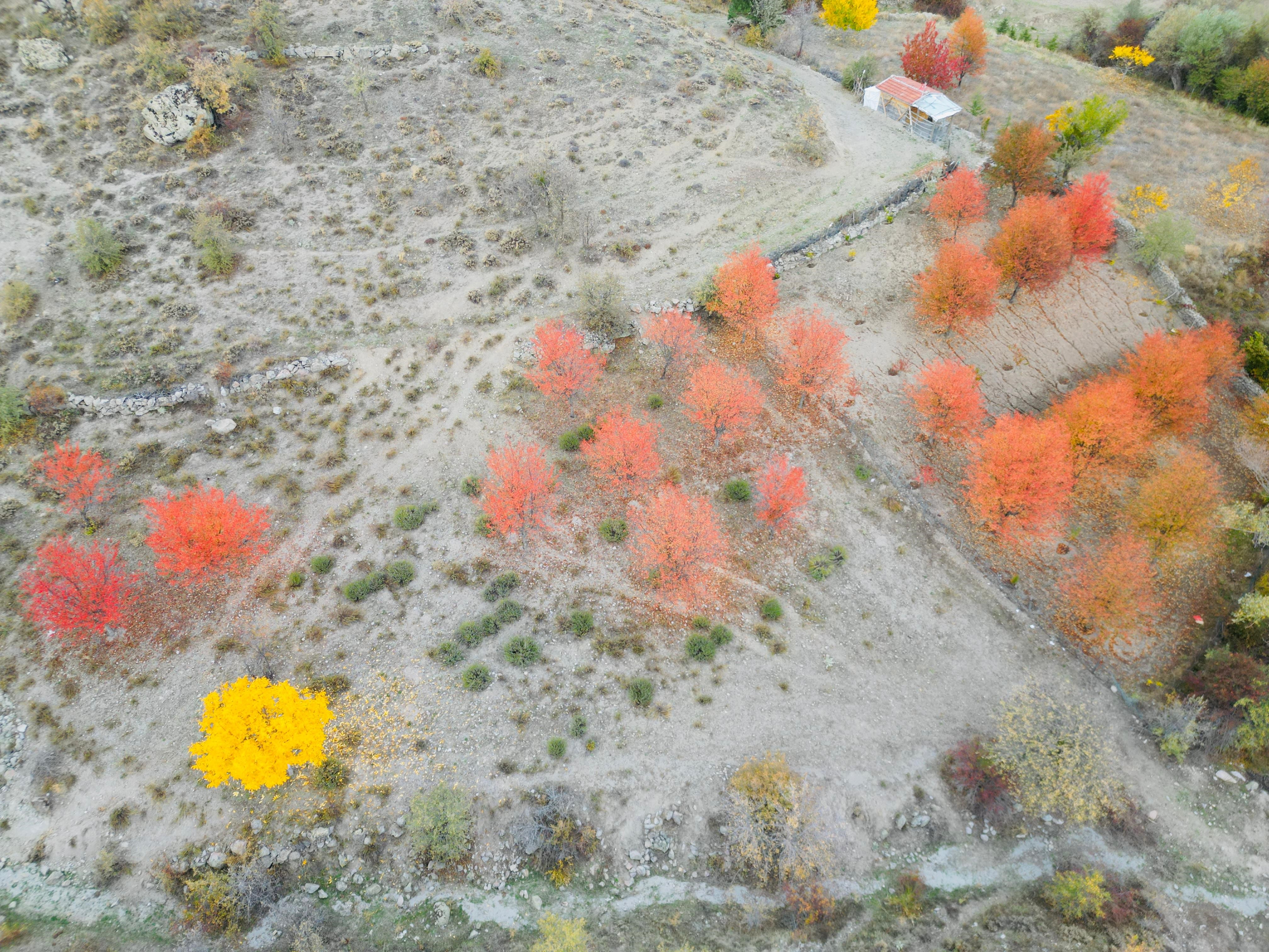 Denizli Haber Sonbaharmanzarası (3)