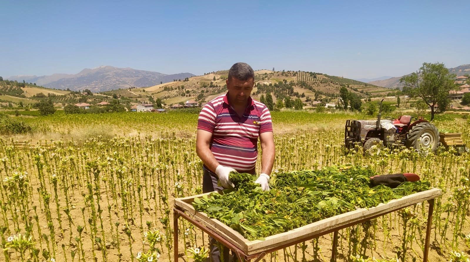 Denizli Haber Tarım (1)-4