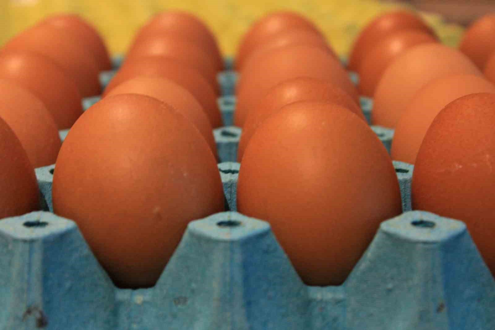 Denizli Haber Yumurta3