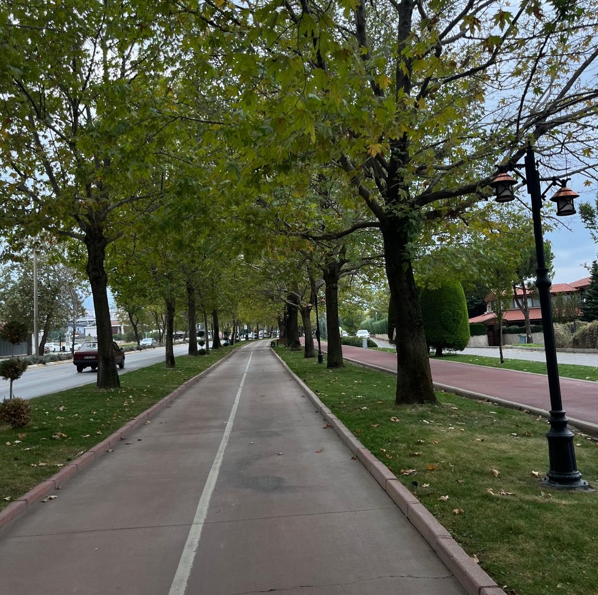 Denizli Yenişheir (1)