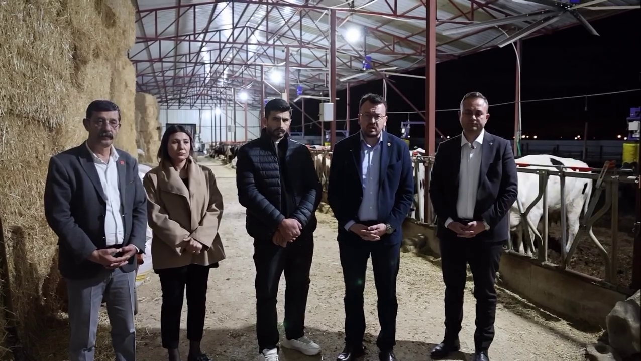 Denizlihaber Arpacichp