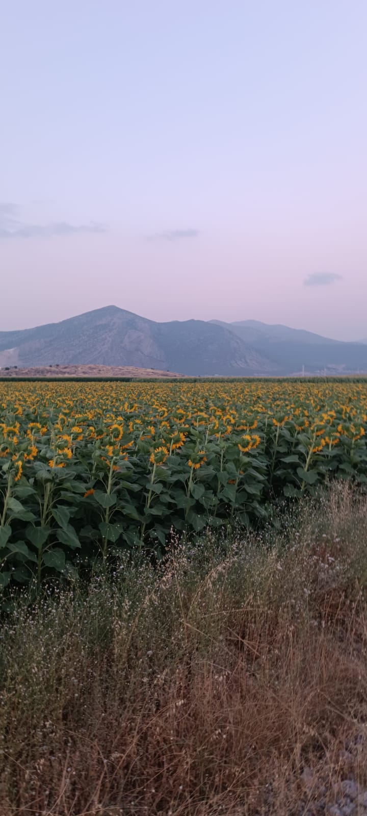 Whatsapp Image 2025 10 02 At 10.57.13 (1)