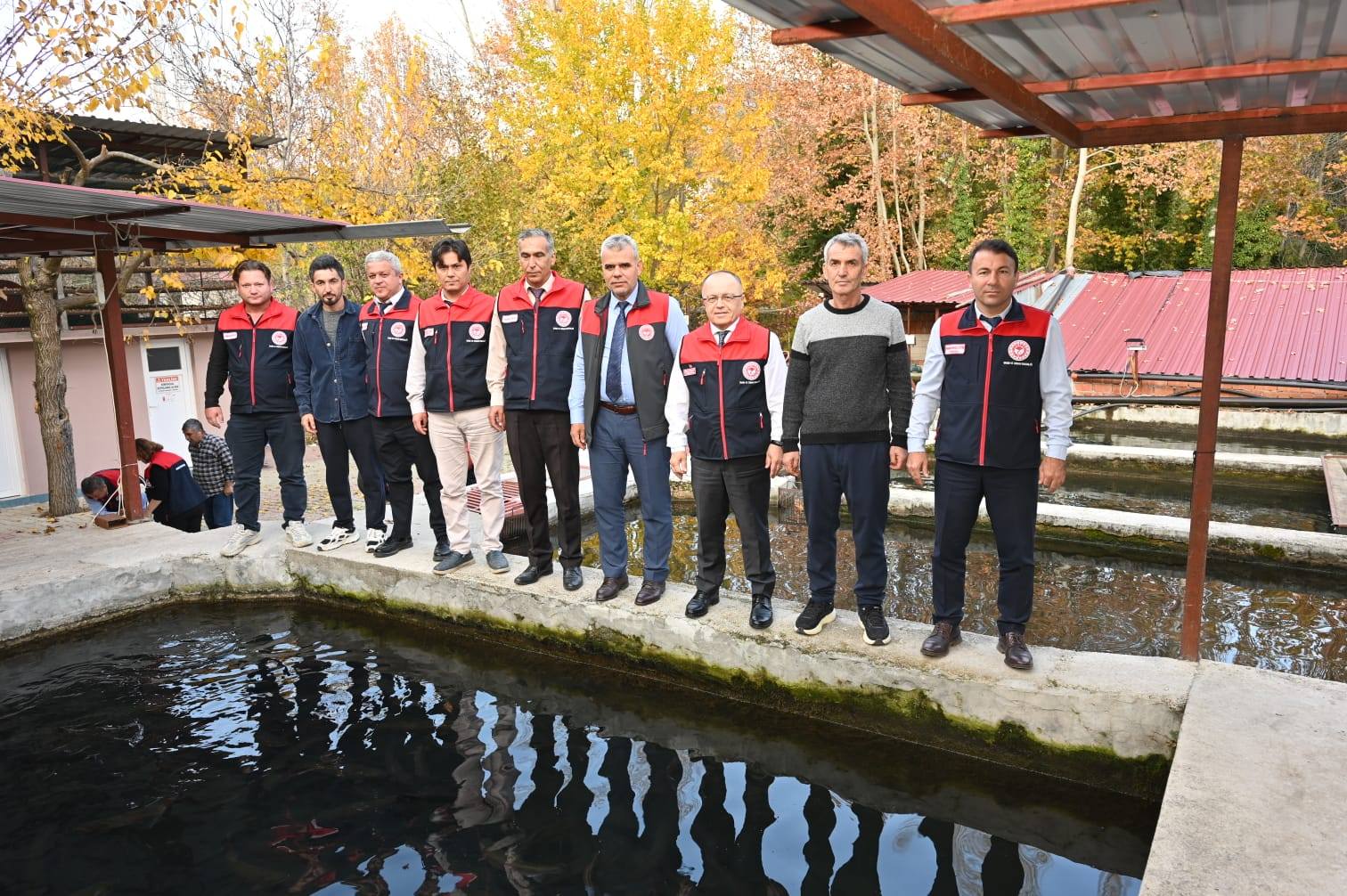 Denizli Ahber Çamelialabalık