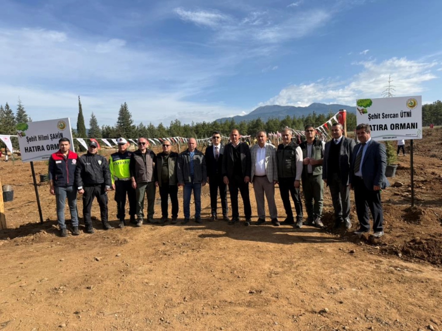 Denizli Haber Ağaç-5